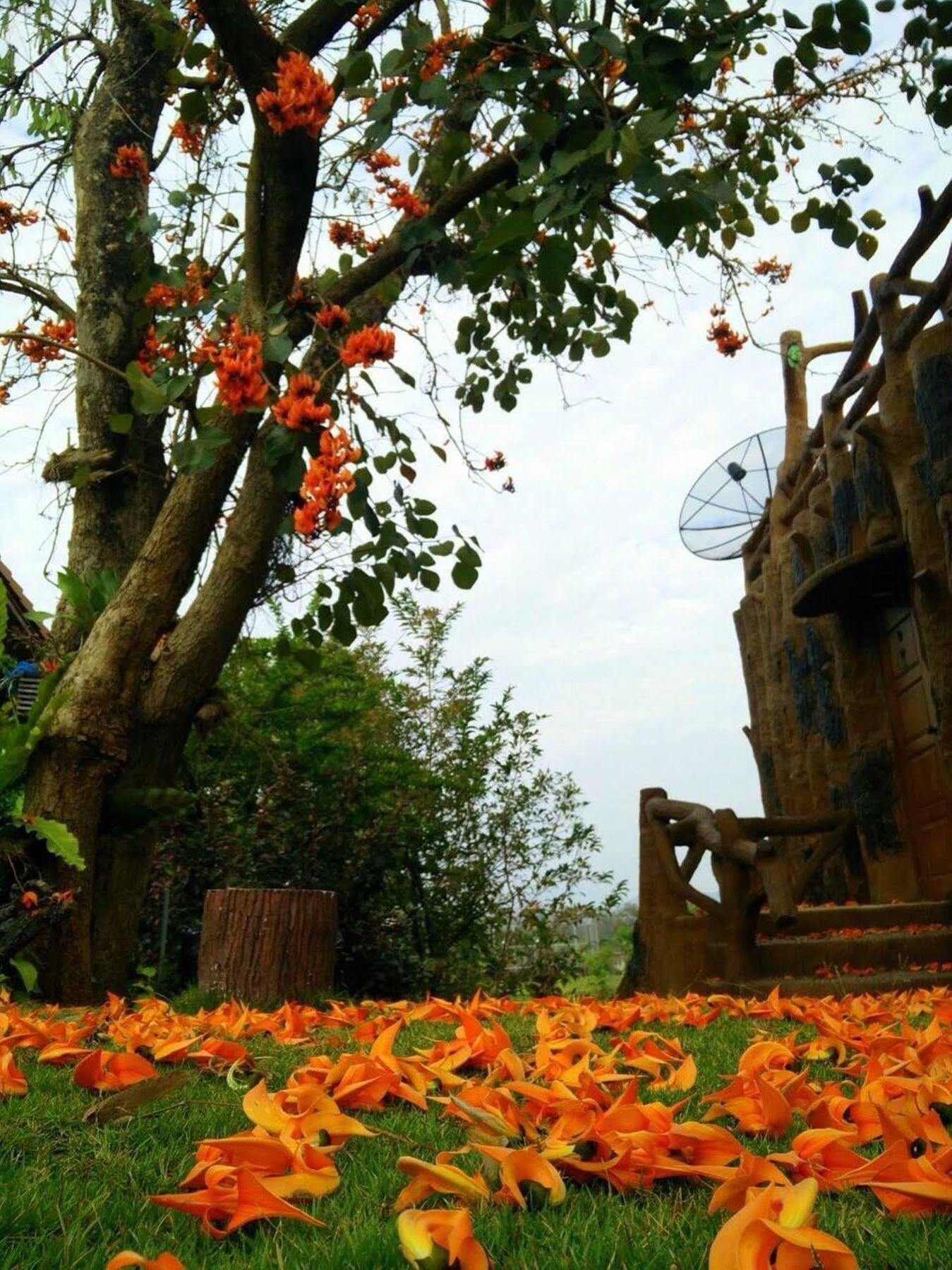 Timberland And Fruit Resort Pong Yo Bagian luar foto